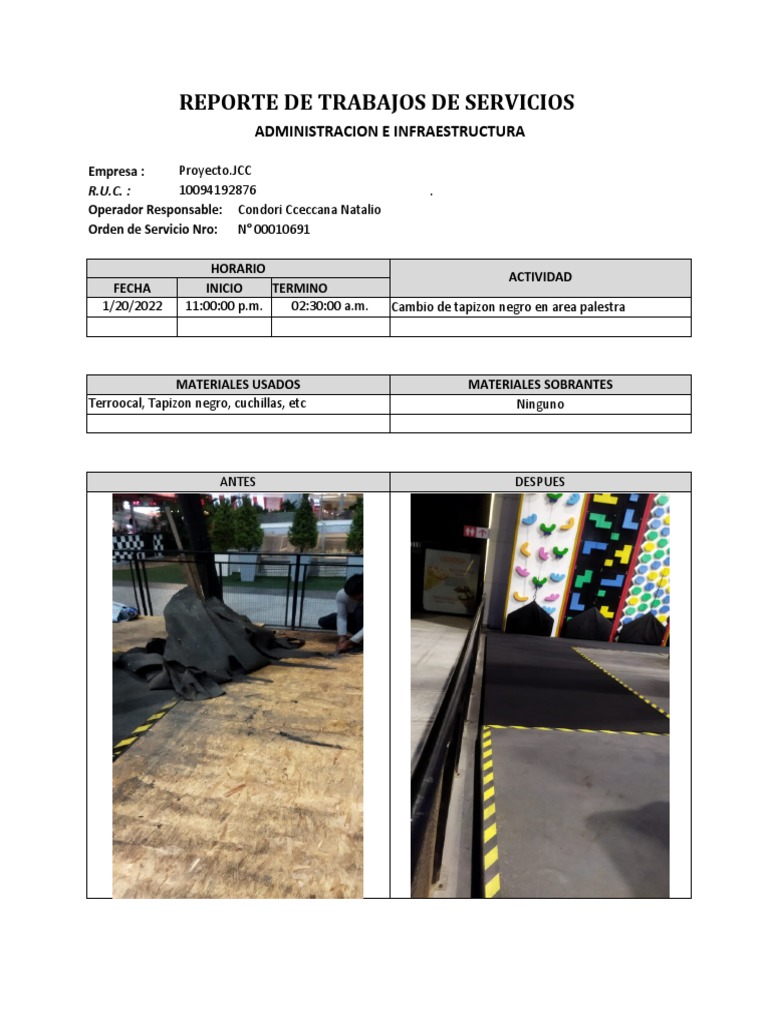 Reporte de Trabajo de Servicios | PDF