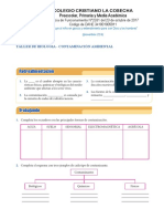 Contaminación Ambiental Biología 11