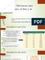 Parcial 2 de Embriologia