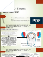 Capítulo 13 Sistema Cardiovascular