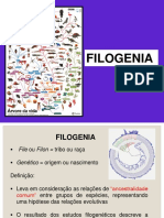 Aula 10 - Filogenia molec