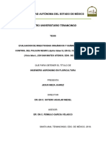 EVALUACION DE INSECTICIDAS ORGÁNICOS Y QUÍMICOS PARA EL CONTROL DEL PULGON NEGRO (Aphis Fabae S.) EN EL CULTIVO DE HABA ( 1