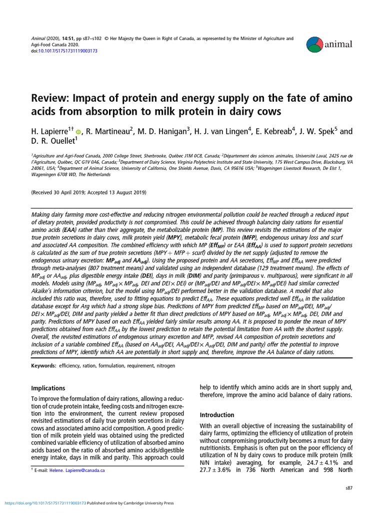 Review Impact of Protein and Energy Supply On The Fate of Amino Acids