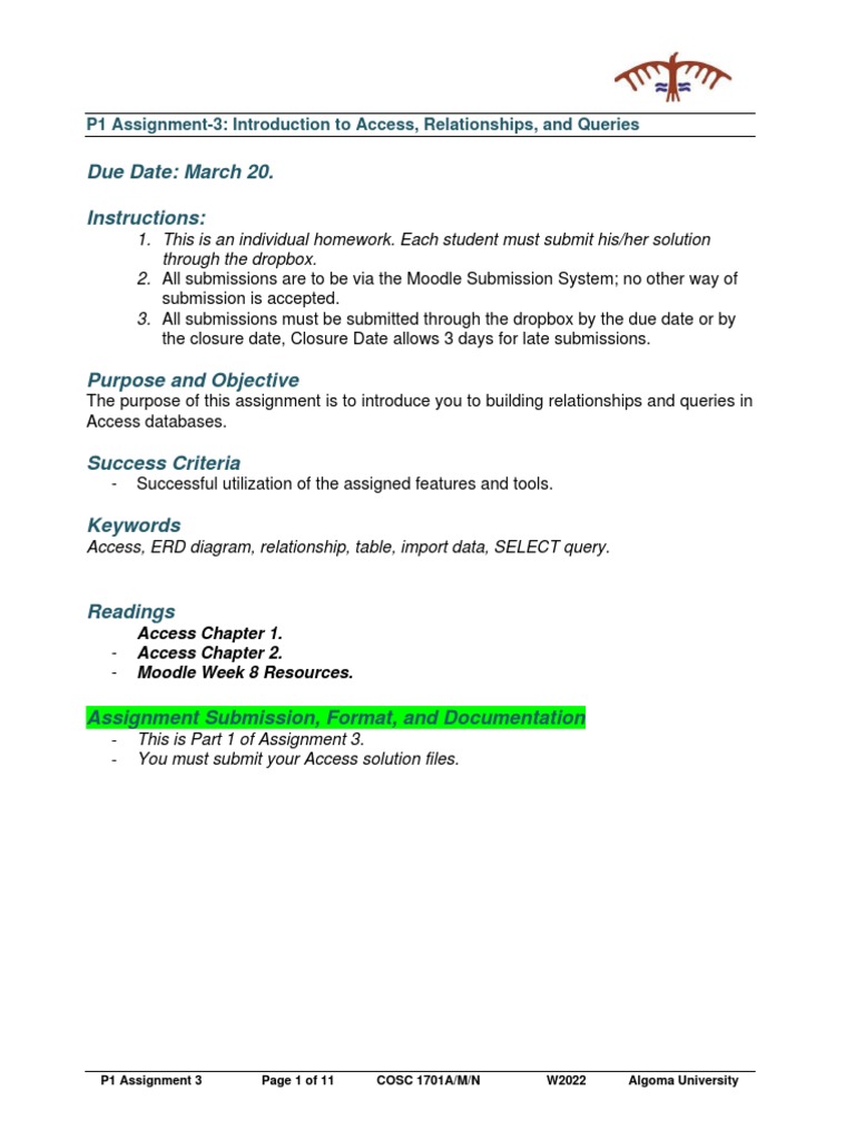 Access Database Assignment Guide | PDF | Databases | Table (Database)