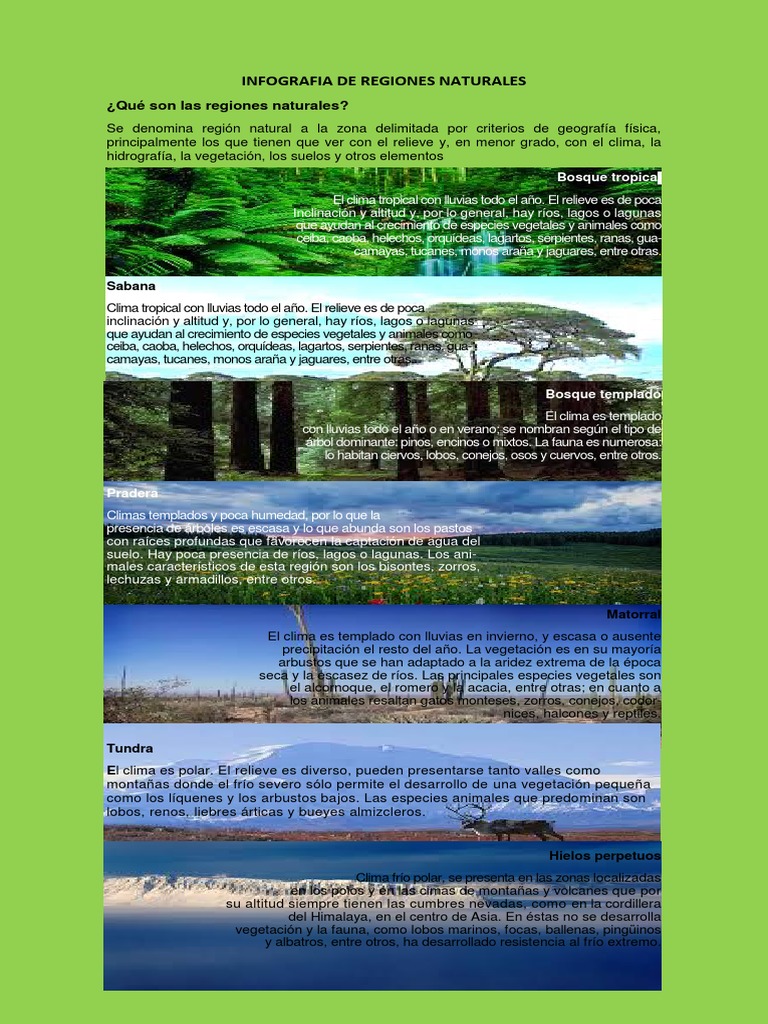 Infografia de Regiones Naturales | PDF | Clima | Desierto