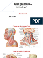 Disecciones de Cuello