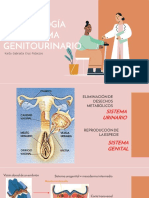 Embriologia Sistema Genitourinario