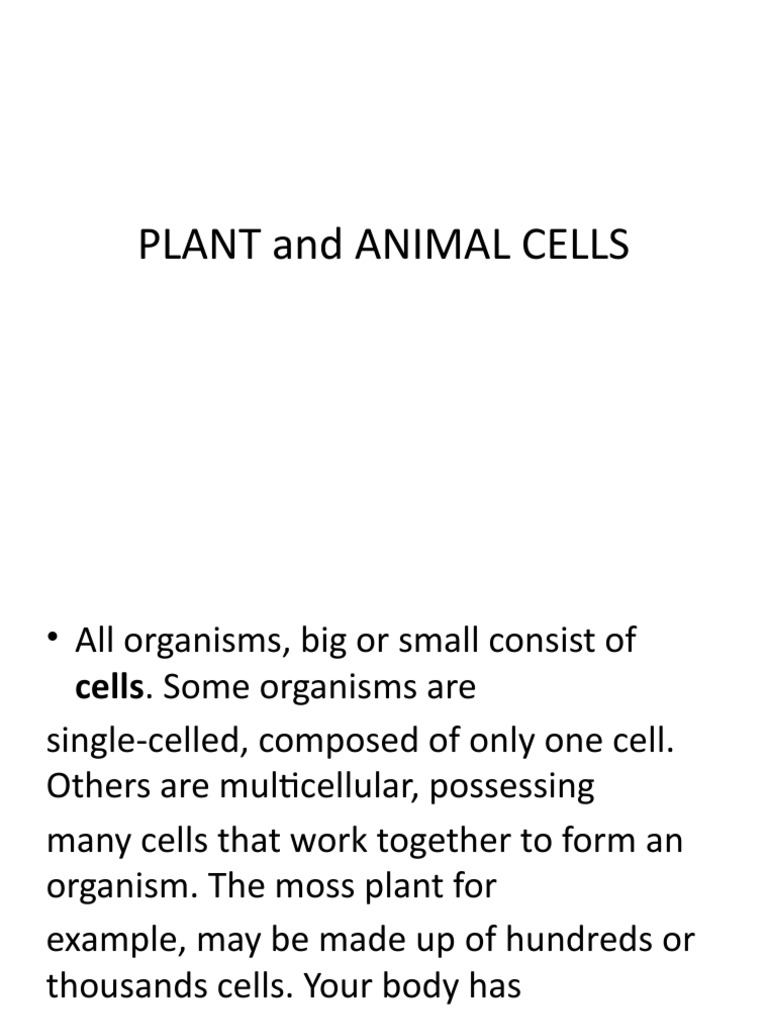 Venn Diagram of Plant and Animal Cells | PDF | Cell (Biology) | Vacuole