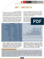 RCB México - Anual 2021