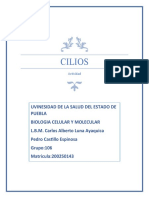 Cilios