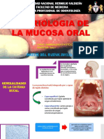 Embriologia de La Mucosa Bucal