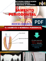 Ligamento Periodontal