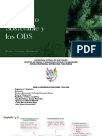 Desarrollo Sostenible y Los Ods