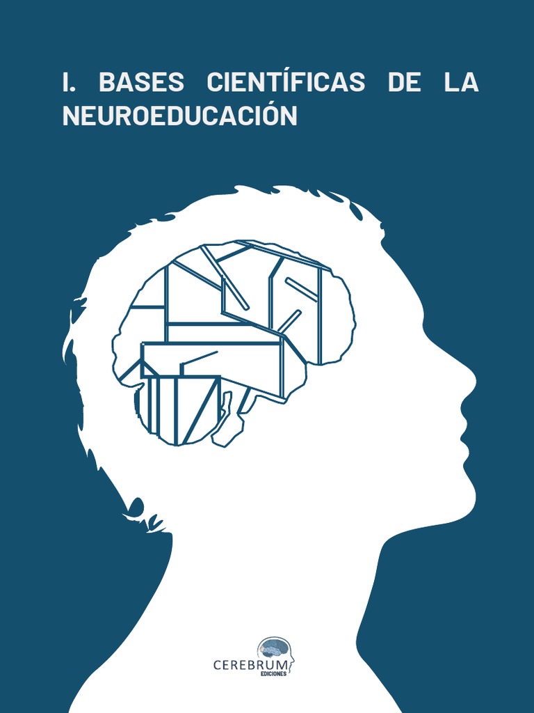 Bases Científicas de La Neuroeducación | PDF | Aprendizaje | Las emociones