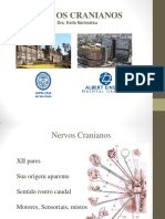 2022 - Aula Nervos Cranianos - Dra. Keila - 2. Ano
