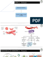 Degeneração Hidrópica
