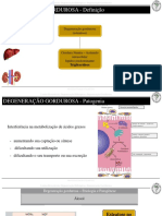 Degeneração Gordurosa