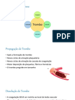 Trombose Venosa Profunda 4