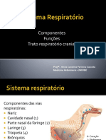 6respirat Ario