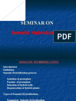 Somatic Hybridization
