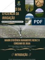 O Paradoxo Da Eficiência Da Irrigação