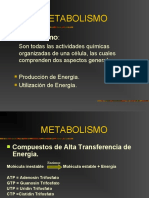 metabolismo_biologia