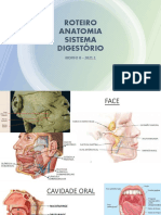 Digestório - Anato