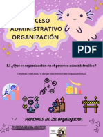 Proceso Admisitrativo Organizacion