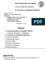 Fractura de Pelvis-Mmii - Grupo 2