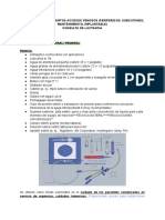 Vias de Acceso y Lactancia