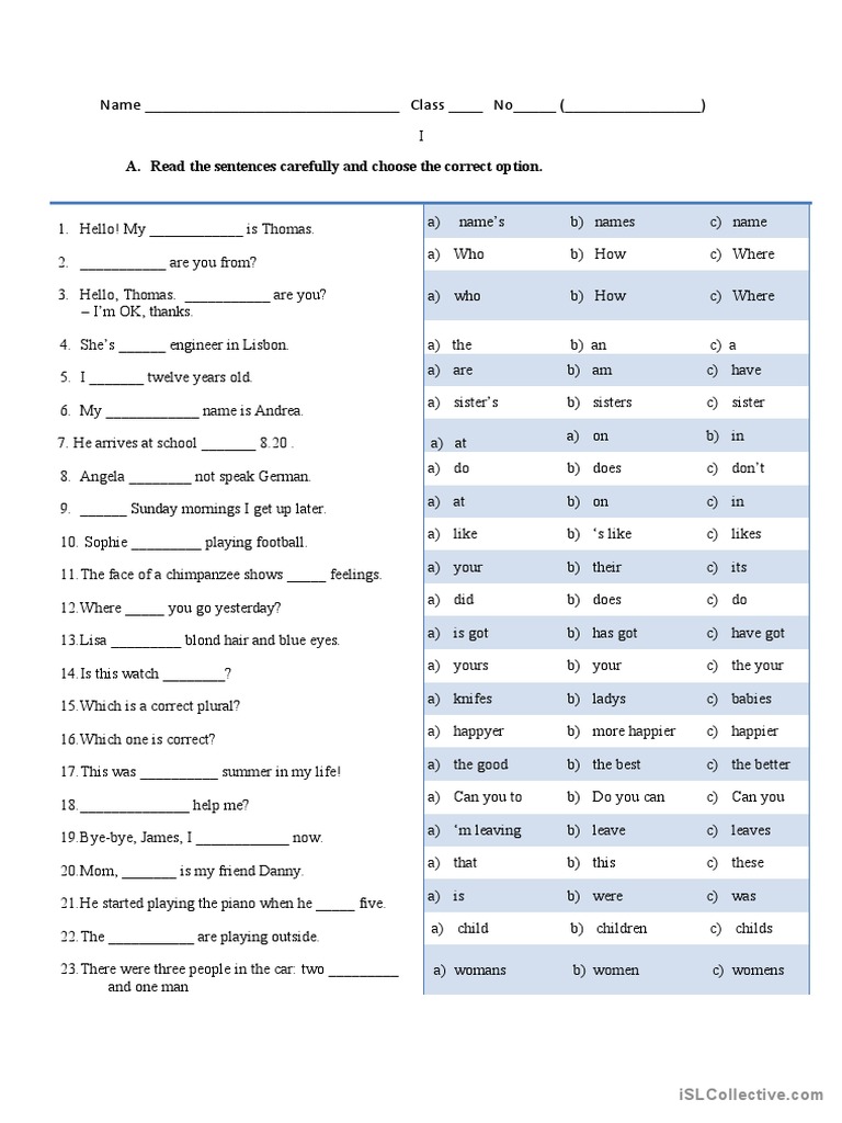 English Language Practice Worksheet | PDF