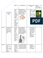 Formas de Electrización de Los Cuerpos