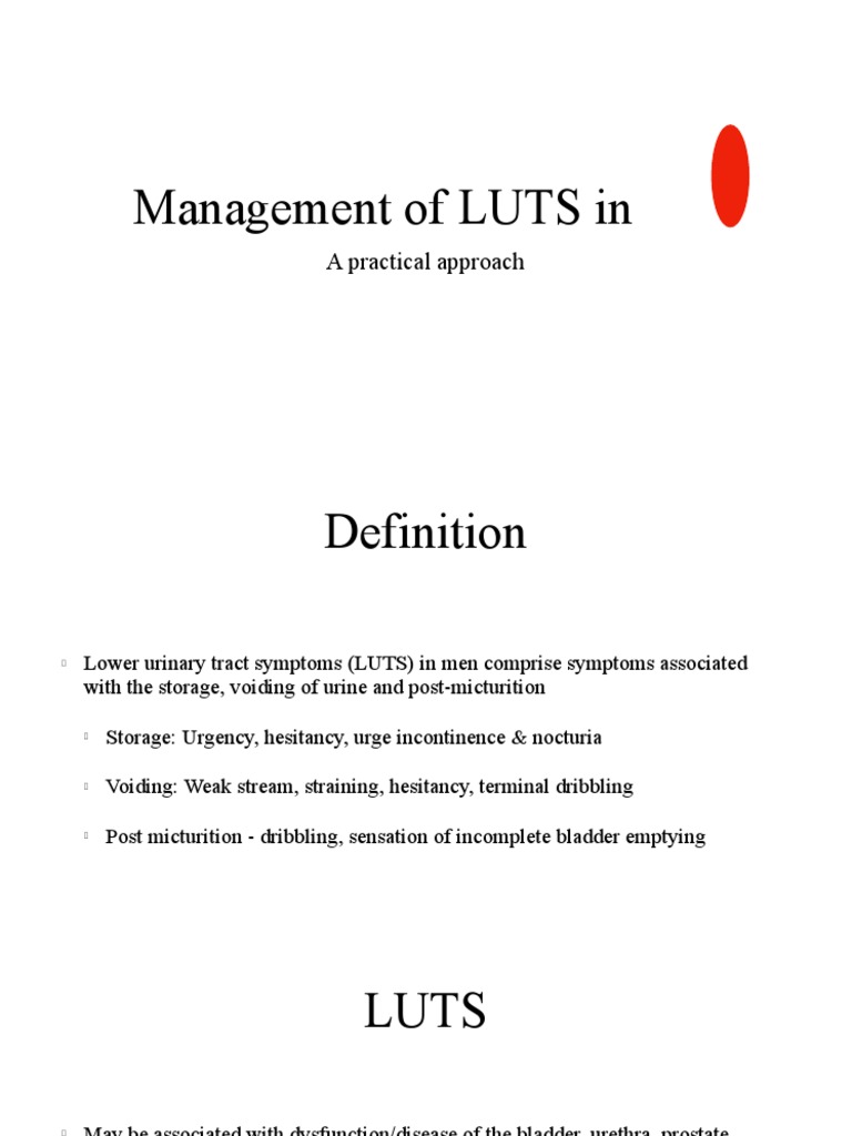 LUTS PDF Urinary Incontinence Causes Of Death