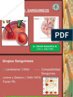 Tema 7 Grupo S Sanguine Os