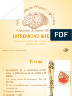 Extremidad Inferior 2