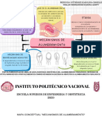 Mapa Conceptual Mecanismos de Alumbramiento