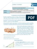 Ficha 3act 2exp Matematica 4to