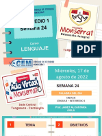 Cem Int 1 - Lenguaje PPT Sem 24