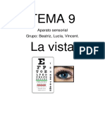 Tema 9 Vista 31