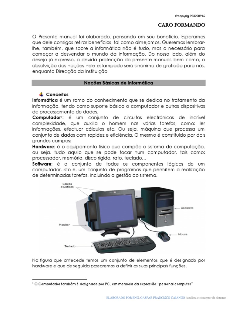 Noções Básicas de Informática | PDF | Microsoft Windows | Microsoft Excel