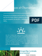 Presentacion Chumaihuen