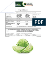 Vegetable Quick Growers Guide - Cabbages