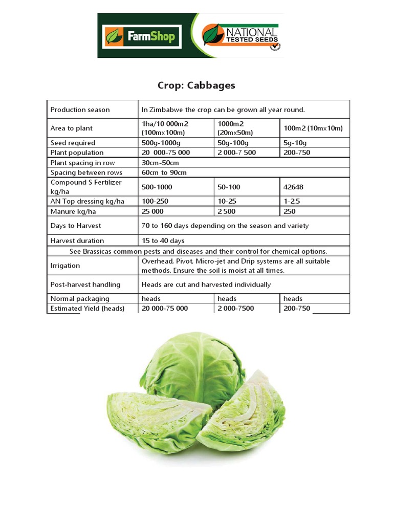 Vegetable Quick Growers Guide Cabbages PDF