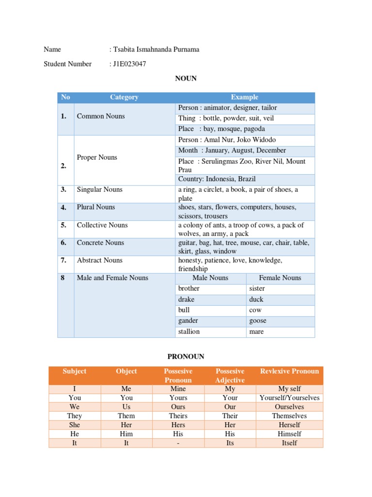Nouns And Pronouns Pdf Noun Pronoun