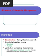 Download Lecture Rickettsia Chlamydia Mycoplasma by Habeeb Ali Baig SN66783575 doc pdf