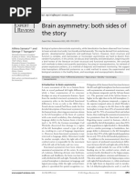 BRAIN ASYMETRY Exp Rev Prot