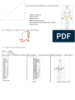 Anat Physio Cours 1