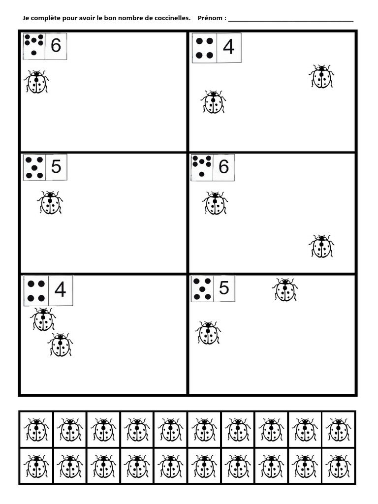 Exercices de coccinelles pour CE1 | PDF