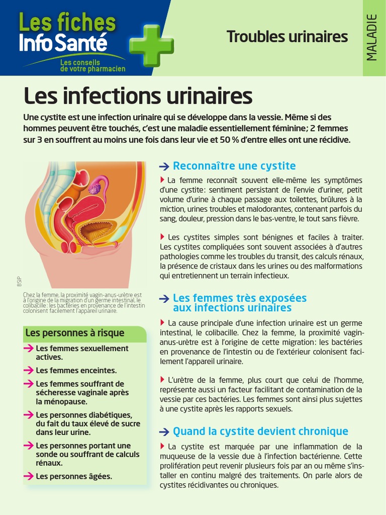 Infections Urinaires Fiche Info Sante | PDF | Infection urinaire ...