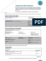 Understanding Your CIBIL CIR